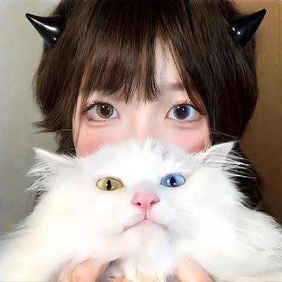 魔法科高校的劣等生第三季